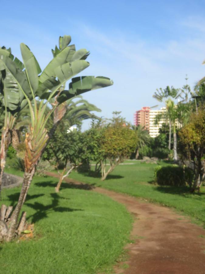Appartamento Céntrico Loft en el Puerto de la Cruz con Wifi y cerca de la playa Esterno foto